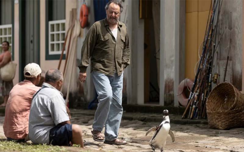 mi_amigo_pinguino_2